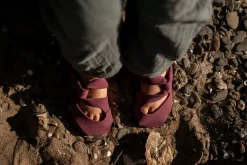 Kinder Wildling Shoes Kleinkinder>Feder