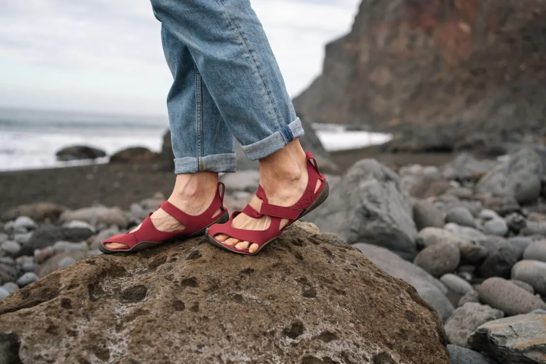 Wildling Shoes Erwachsene>Feder