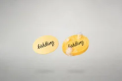 Wildling Shoes Pflege>Quellschwamm "Sorbeo"