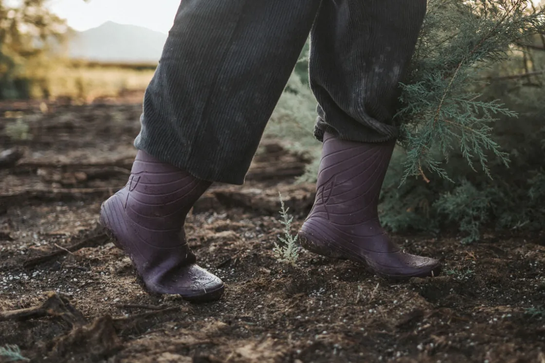 Wildling Shoes Erwachsene|Erwachsene>Ranidae